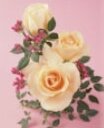 Roses represent the best in a bridal bouquet - order your fine rental items from Elegant Touch Wedding Rentals for a classy affair